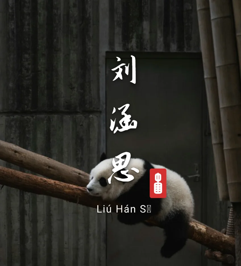Panda Wallpaper Preview